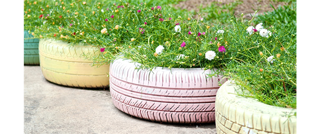 CHEAP WAYS TO IMPROVE YOUR SUMMER GARDEN