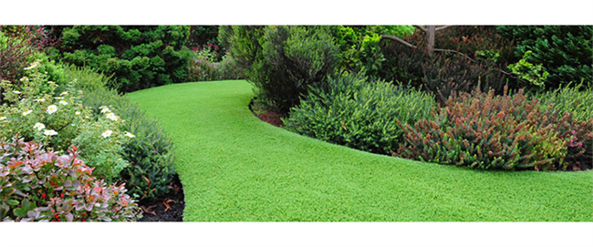 NATURAL TURF OR ARTIFICIAL TURF