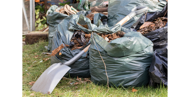 10 TIPS TO PREPARE YOUR GARDEN FOR THE WINTER