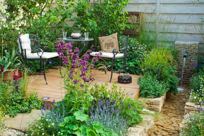 Add Fuss-Free Perennial Plants To Your Garden