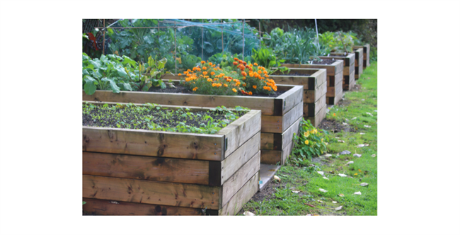 HOW TO BUILD A RAISED BED WITH SLEEPERS