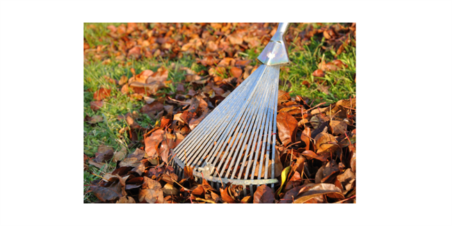 SEPTEMBER AUTUMN GARDEN CLEAN UP