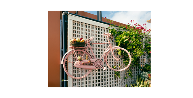 UPCYCLING IN THE GARDEN