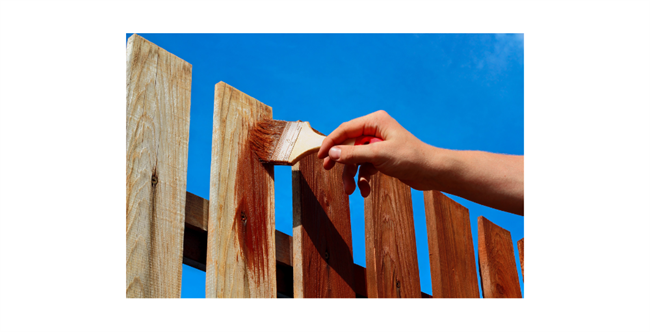 WAYS TO IMPROVE YOUR GARDEN ON A BUDGET