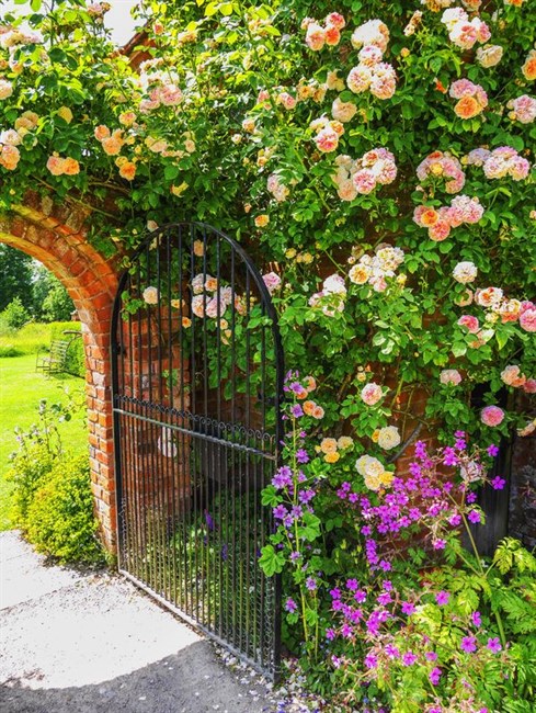 How To Create A Walled Garden