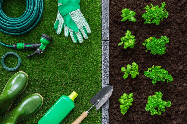 Edging Stones - The Perfect Finish For Any Garden