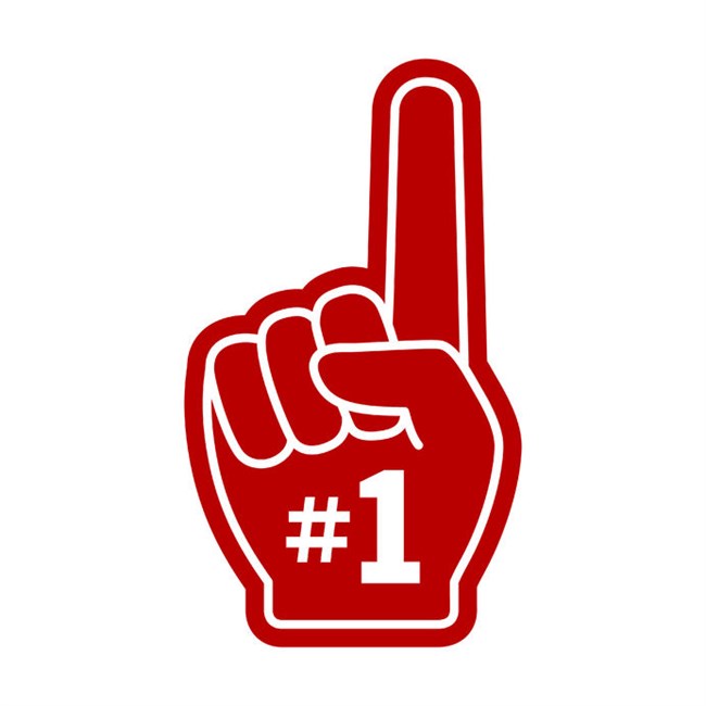 Why IBT are the No.1 Timber Merchant in the Local Area