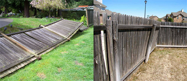 A NEW FENCE MAKES PERFECT SENSE